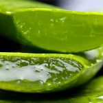 Benefits of Aloe Vera For Hair, Skin and Body